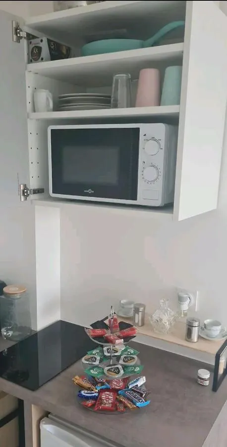 Apartment Bron Centre Appartement Meuble Avec Jacuzzi