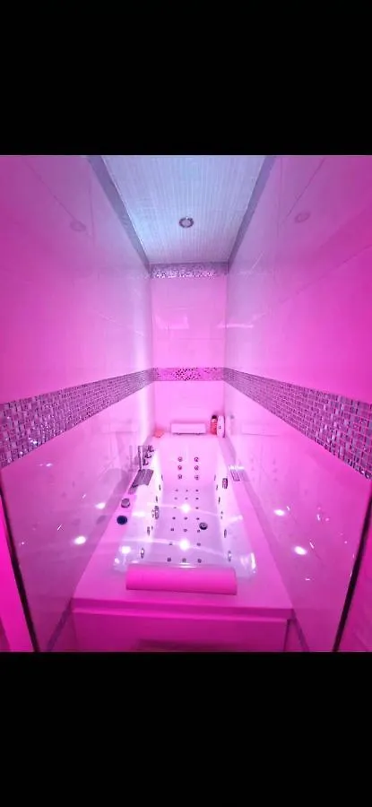 Bron Centre Appartement Meuble Avec Jacuzzi