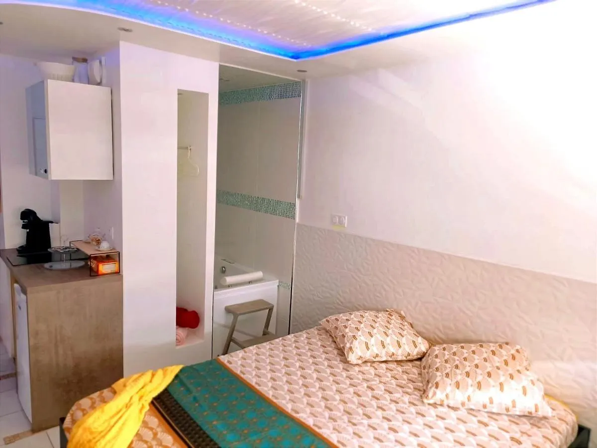 Bron Centre Appartement Meuble Avec Jacuzzi Apartment