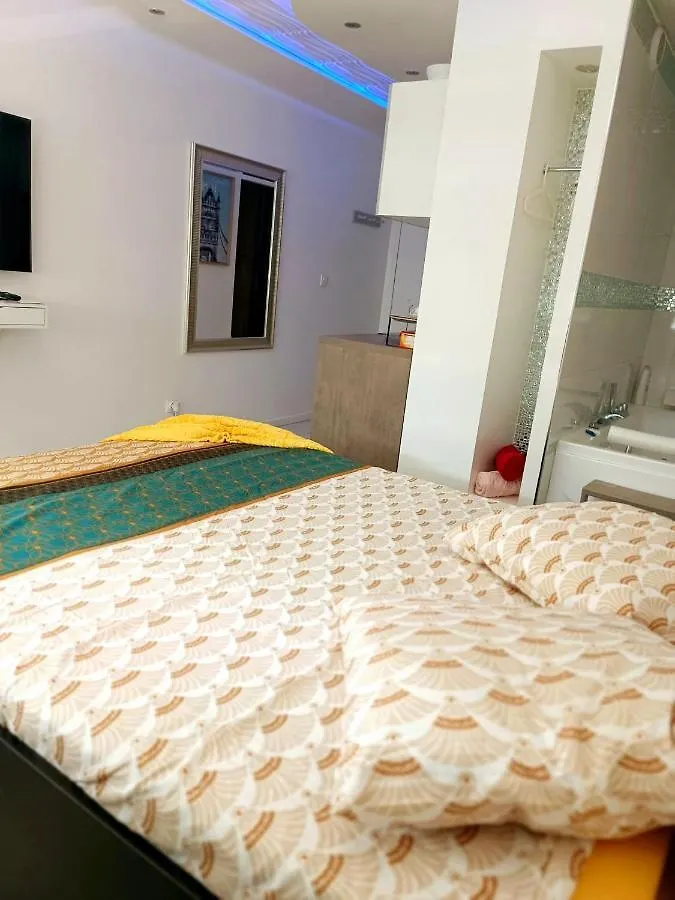 Bron Centre Appartement Meuble Avec Jacuzzi Apartment