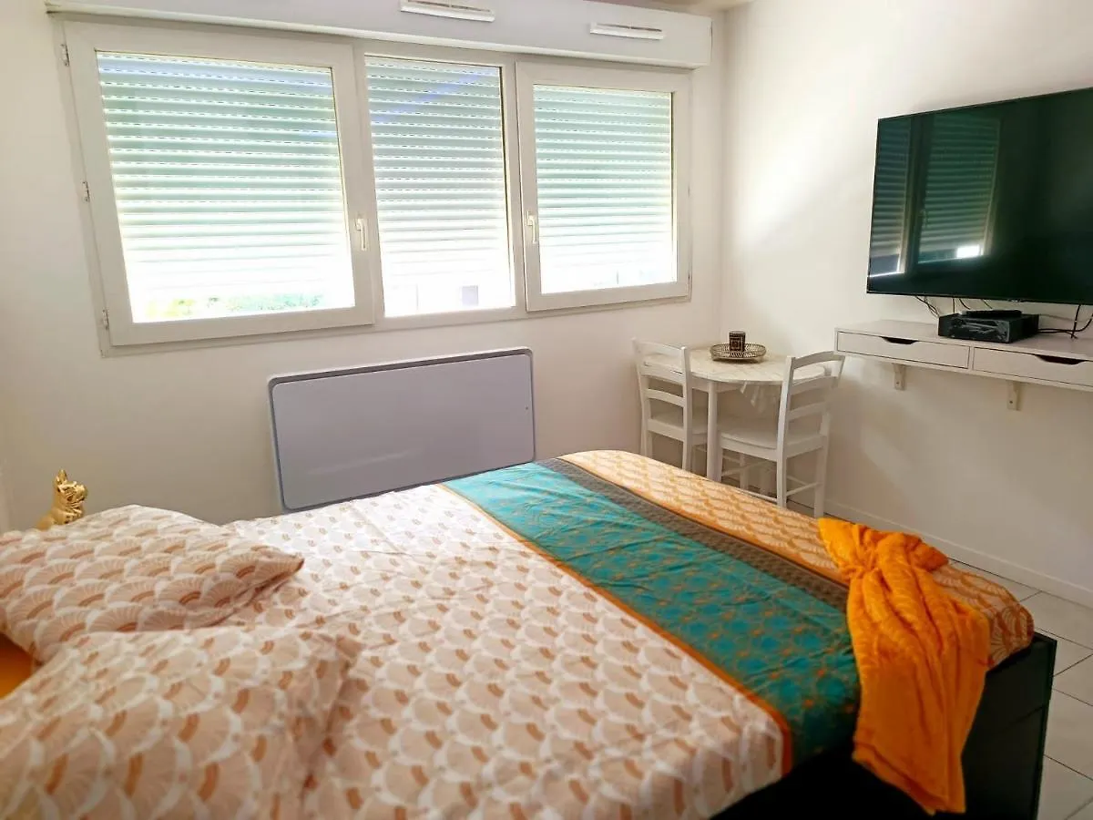 דירה Bron Centre Appartement Meuble Avec Jacuzzi צרפת